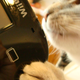 Image for article titled Step Aside, Jessica Chobot Licking A PSP. There's A New Scandalous Picture, And It Involves The Wii U.